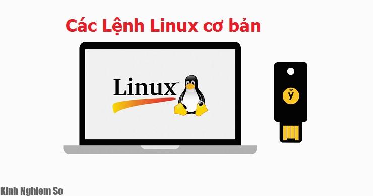 Các lệnh Linux cơ bản