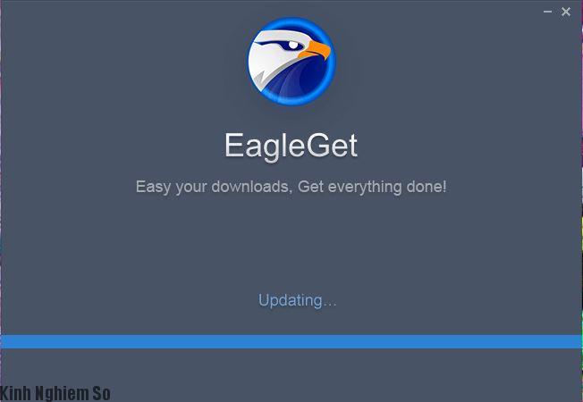 Download Eagleget