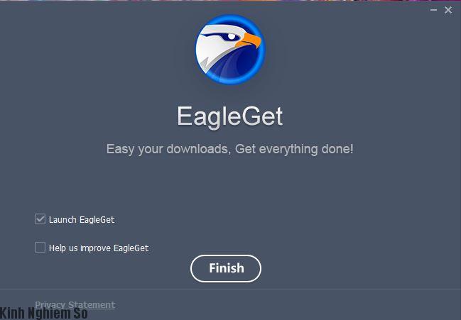 Cài đặt EagleGet