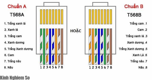 Cách bấm dây mạng chuẩn A và chuẩn B chuẩn xác nhất qua 3 bước hình 2 Cách bấm dây mạng chuẩn A và chuẩn B chuẩn xác nhất qua 3 bước hình 2