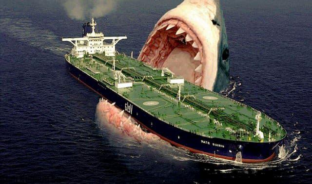 Cá mập Megalodon khổng lồ vẫn còn sống dưới đại dương hình 2 cá mập megalodon còn sống