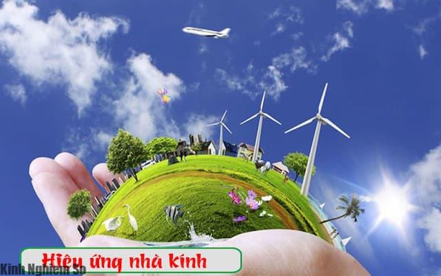 Hiệu ứng nhà kính là gì? Hậu quả do hiệu ứng nhà kính gây ra hình 1 Nguyên nhân gây hiệu ứng nhà kính là gì