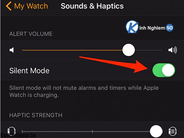 Tắt âm thanh Apple Watch Tắt âm thanh Apple Watch