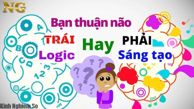 Ban thuan nao trai hay nao phai Não trái và Não phải