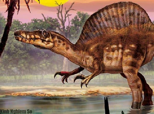 Khủng long Spinosaurus Khủng long Spinosaurus