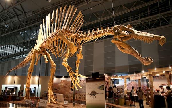 Thằn lằn gai Spinosaurus Thằn lằn gai Spinosaurus
