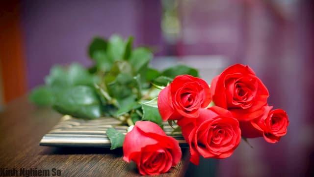 Hoa hồng đẹp nhất thế giới Hoa hồng đẹp nhất thế giới