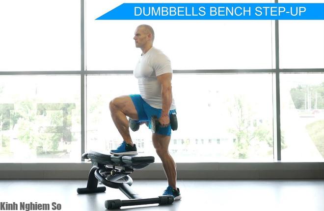 Bài tập Dumbbell Bench Step Ups Bài tập tăng thể lực tại nhà