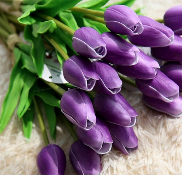 Ý nghĩa hoa Tulip tím
