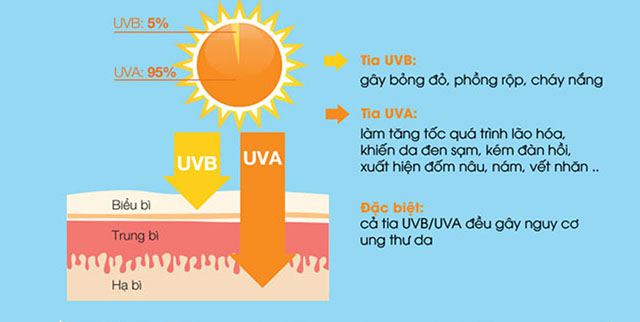 Tác hại của tia cực tím UV